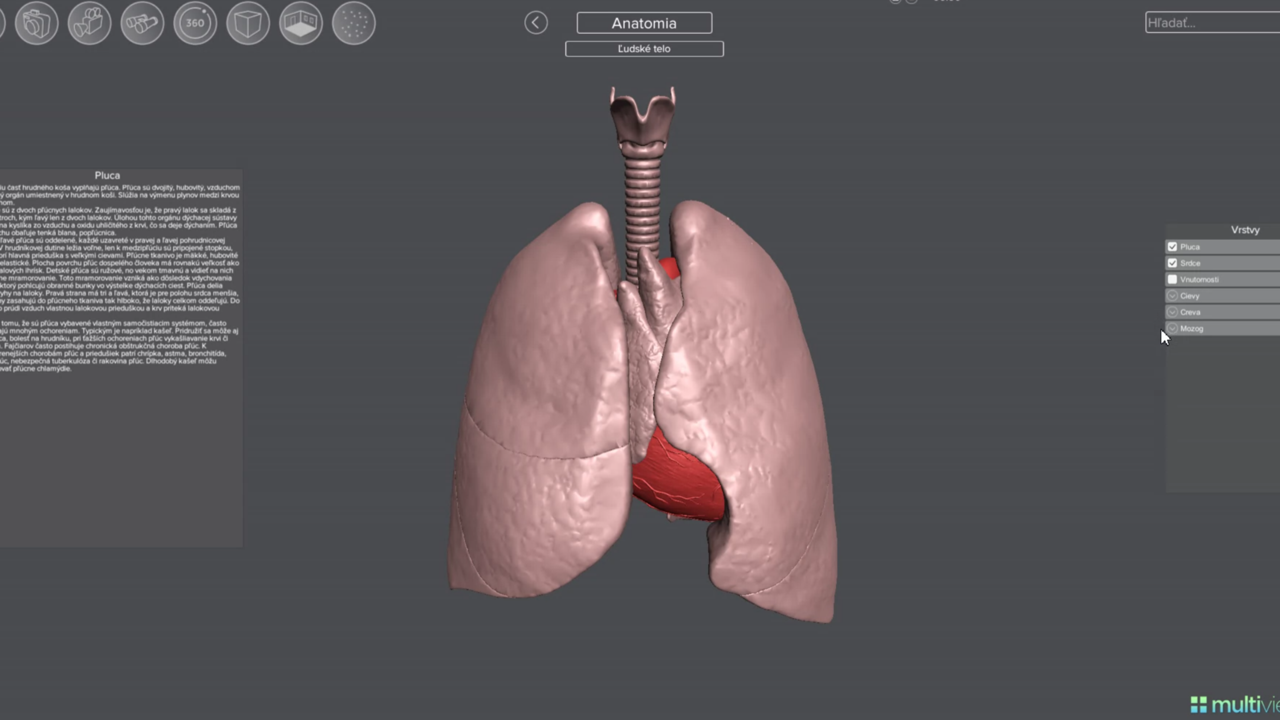 Professional Visualization Suite - Image 2