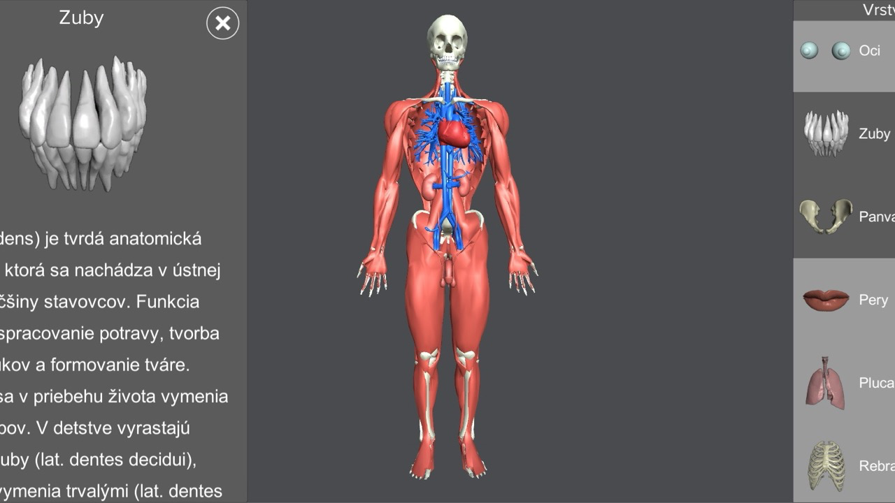 Commercial AR Apps & Point Cloud Innovation - Image 1