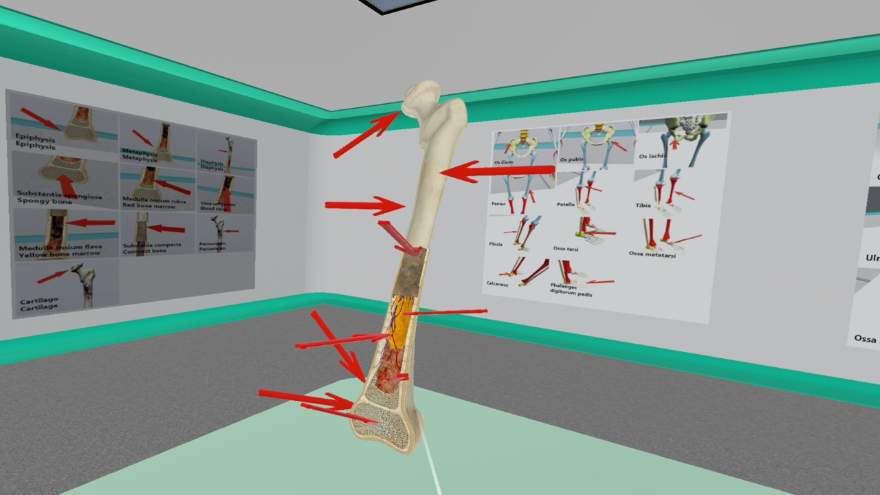 Modular VR Communication Platform - Image 3